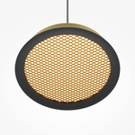 Подвесной светильник Maytoni MOD041PL-L15G3K