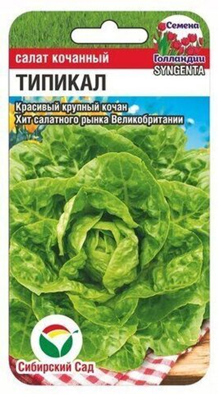 Салат Типикал кочанный 10шт Сибсад|Syngenta