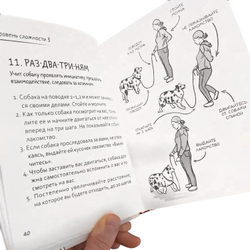 Романова Т.В. Лай-Лай Лэнд. Как правильно играть с собакой