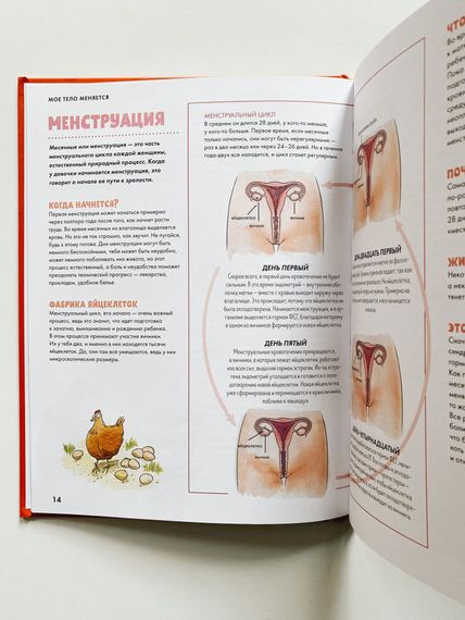 Мое тело меняется