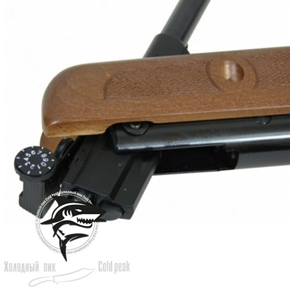 Пневматическая винтовка GAMO Forest