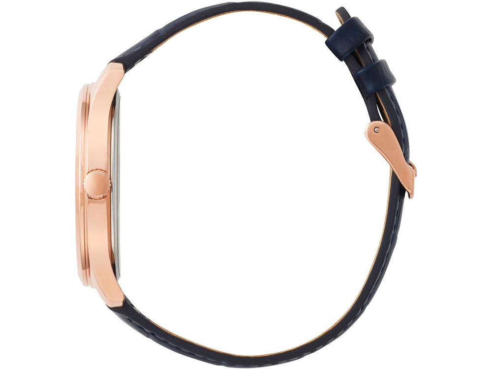Мужские наручные часы Citizen BH5003-00L