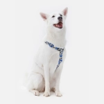 Анатомическая шлейка Midnight Safari