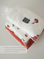 Пелёнка-кокон Mjölk Брусника, уценка