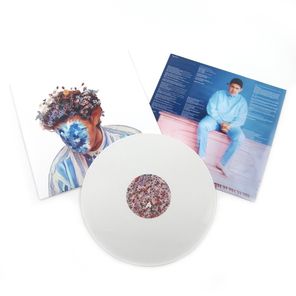 Hobo Johnson / The Fall Of Hobo Johnson (Coloured Vinyl)(LP)