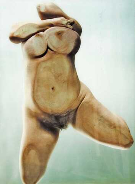 Jenny Saville (род. 1970) - эротическое искусство британской художницы Дженни Сэвилл. 18+