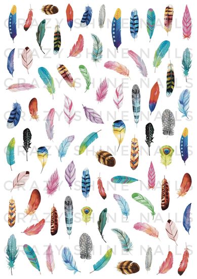 Слайдер-дизайн Crazy Shine Nails mini: Перья