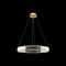Подвесной светодиодный светильник Loft IT Crystal ring 10135/600 Gold