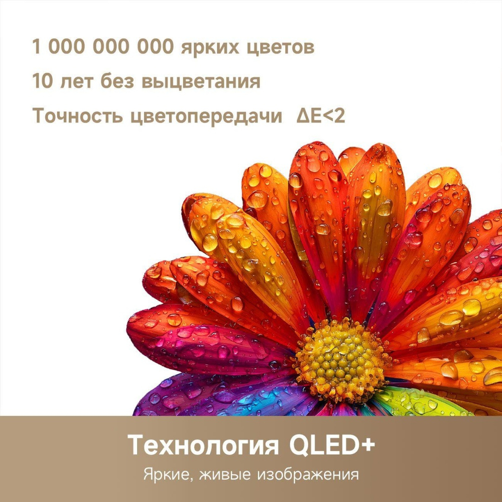 Телевизор DREAME Smart 32Q10 81 см черный