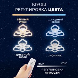 Светильник потолочный светодиодный Rivoli Megan 6110-107 106 Вт LED 2800К - 6200К модерн с пультом | Rivoli