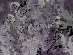 Коллекция JELLY