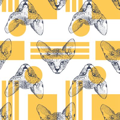 Кот сфинкс и геометрия