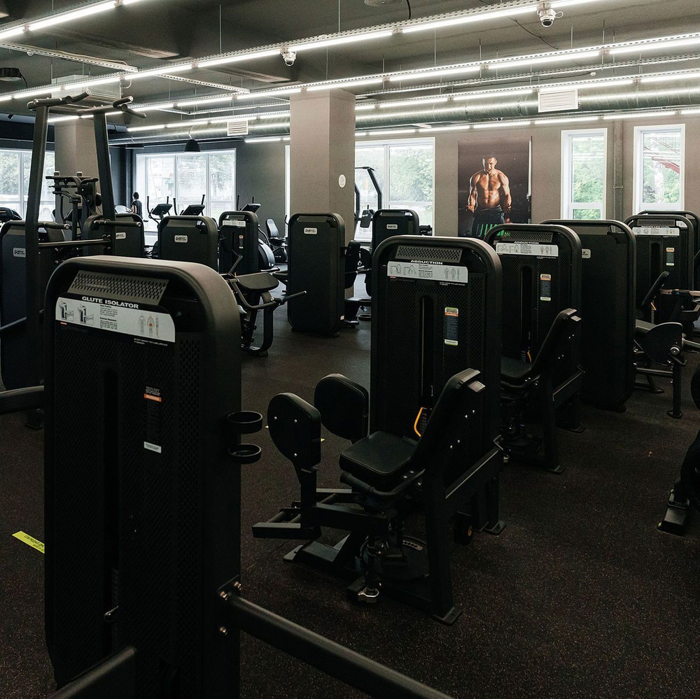 E7031 Разгибание спины. Стек 110 кг