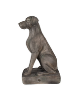 Статуэтка Декор "Собака" 44x26x73 см от Clayre & Eef
