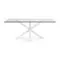 Стеклянный стол Arya с белыми стальными ножками 200x100