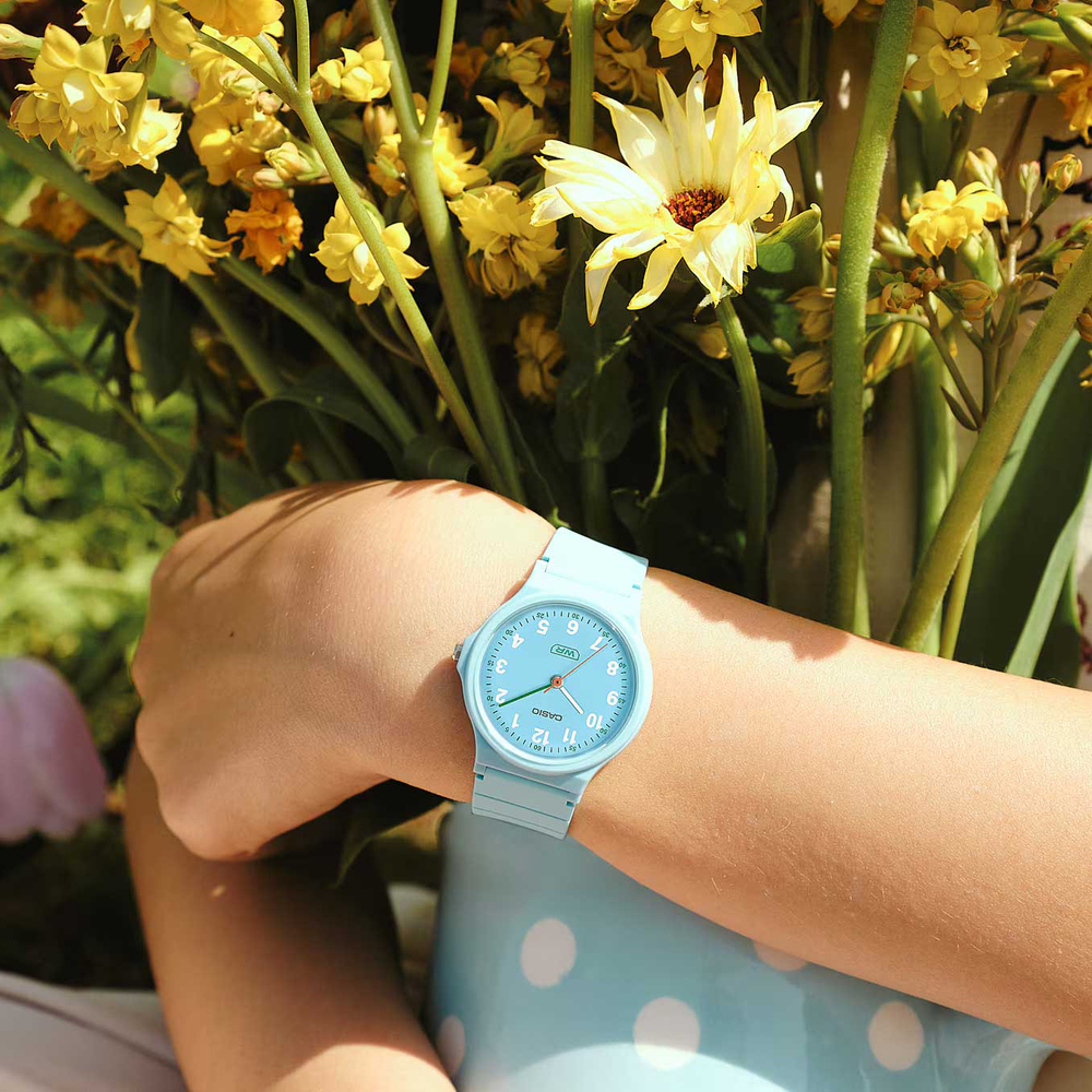 Часы Casio LQ-24B-2B