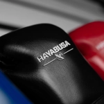 Боксёрские перчатки Hayabusa PRO HORSEHAIR