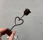 Роза вечной любви