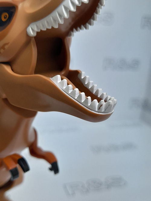 USED Тираннозавр trex02