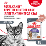 Royal Canin Appetite Control Care Корм консервированный для взрослых кошек соус 85 г