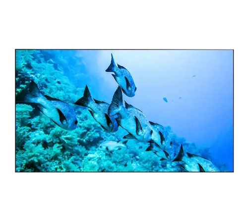 Профессиональный дисплей EliteBoard BK555FDLE