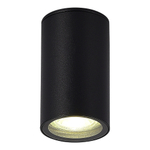SL9010.412.01 Светильник уличный потолочный ST-Luce черный GU10 1*50W TUBO