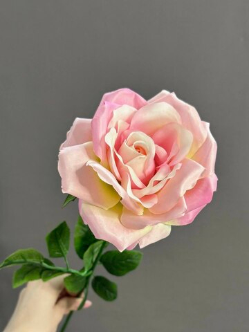 Роза одноголовая розовая (h59 см)