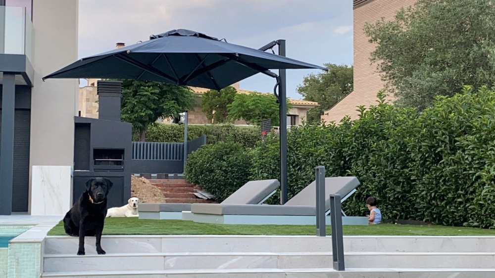 Зонт профессиональный Astro Carbon, графит, слоновая кость