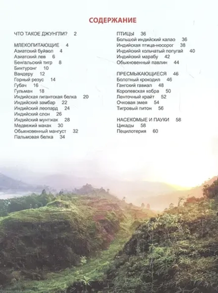 ЭНЦИКЛОПЕДИЯ ДЛЯ ДЕТЕЙ новые. КТО В ДЖУНГЛЯХ ЖИВЁТ?