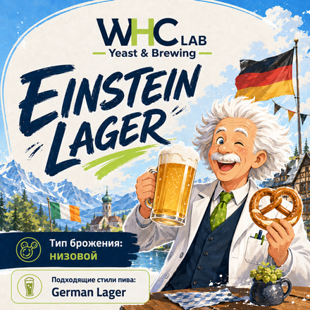 EINSTEIN LAGER