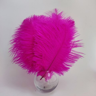 Перо страуса фуксия 10 - 15 см.