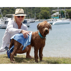 Полотенце для собак DOOG