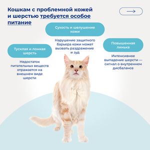 Сухой монопротеиновый корм Jarvi для взрослых кошек для здоровой кожи и красивой шерсти, говядина