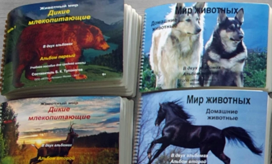 Набор тематических рельефно-графических пособий по различным предметным областям