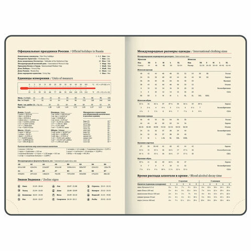 Ежедневник датированный 2025, А5, 143x218 мм, BRAUBERG "Journal", под кожу, застежка, органайзер, серый, 115881