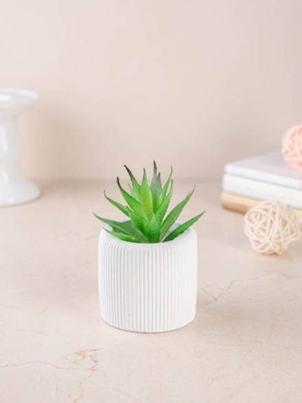 кашпо для цветов органайзер