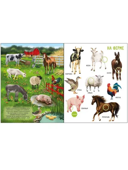 50 звуков. Животные