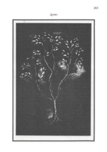 Индуизм и юнгианская психология