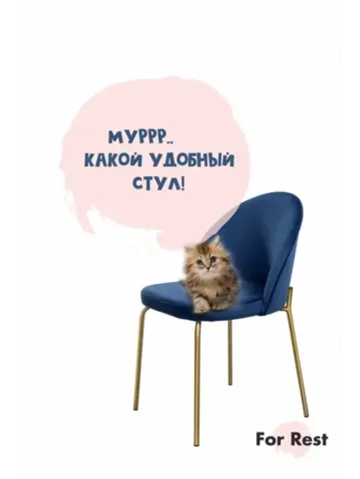 Стул мягкий кухонный со спинкой Золотые ножки 1 шт