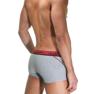 Светло-серые трусы-боксеры с яркой брендированной резинкой (Размер: S) (Цвет: светло-серый)