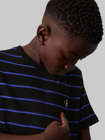 Футболка 2шт. Calvin Klein Jeans - черный(IB0IB02406)