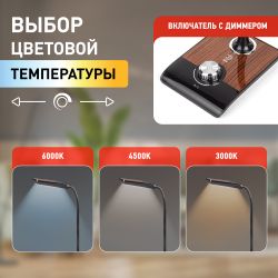 Настольный светильник ЭРА NLED-473-10W-BK светодиодный черный с деревом | Светодиодные настольные лампы