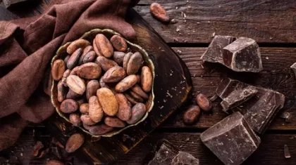 Как сушат какао-бобы