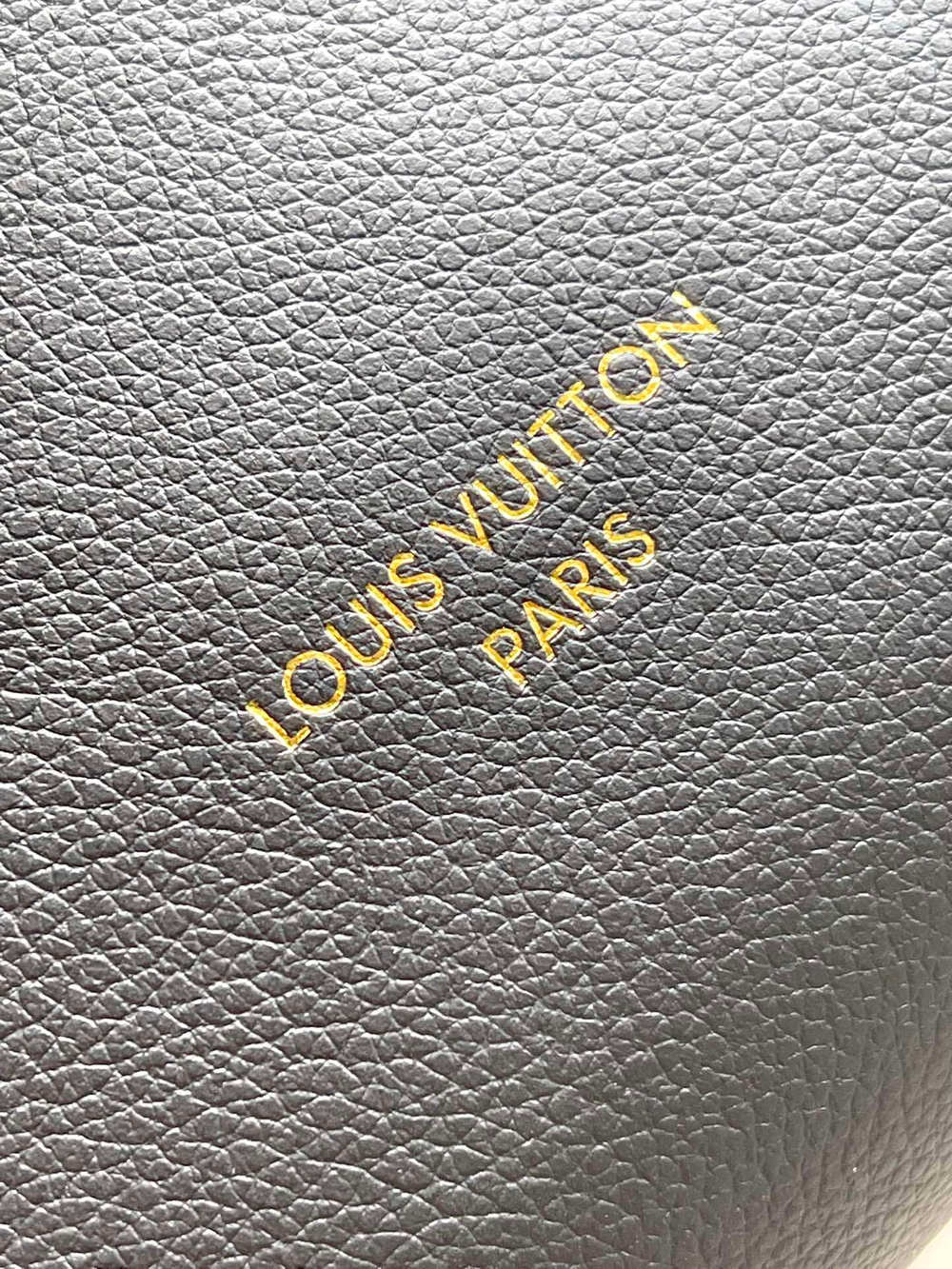 Louis Vuitton Low Key Hobo PM