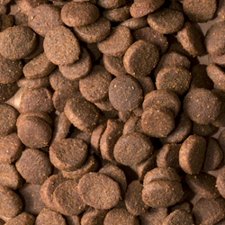 Сухой корм ProBalance Delicate Digestion для взрослых собак с лососем и рисом, при нарушении пищеварения