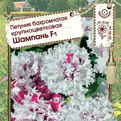 Петуния бахромчатая крупноцветковая Шампань F1
