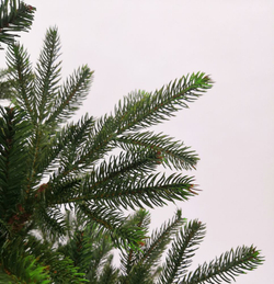 Ель Фантазия 215см зеленая Black Box