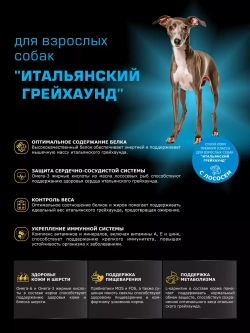 Корм сухой для собак Итальянский грейхаунд, лосось 2,5 кг