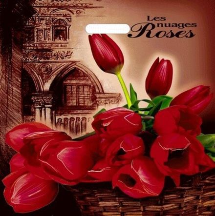 Пакеты с вырубной ручкой "Голландия" 44х44+6см 70мкм (50/500шт)