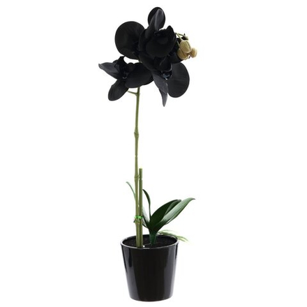 GAEM Цветочная композиция "Орхидея", H45 см